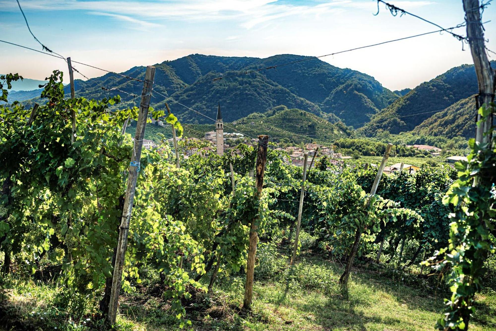 Ca'Lisel Vila Valdobbiadene Exterior foto